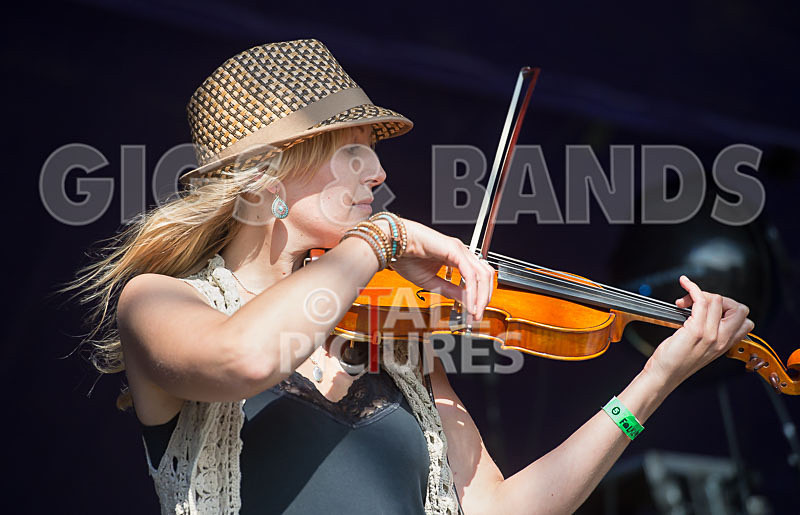 Buffalo Huddleston-419 - BUFFALO HUDDLESTON