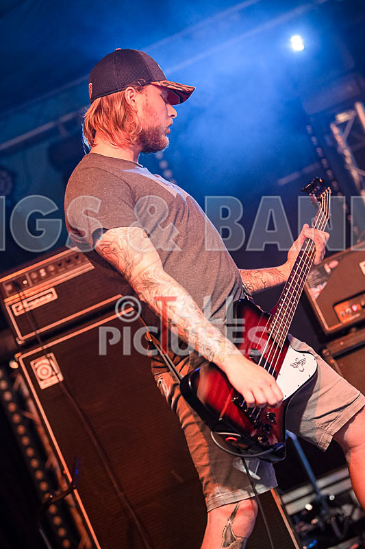 Granite Wolf-32 - GRANITE WOLF