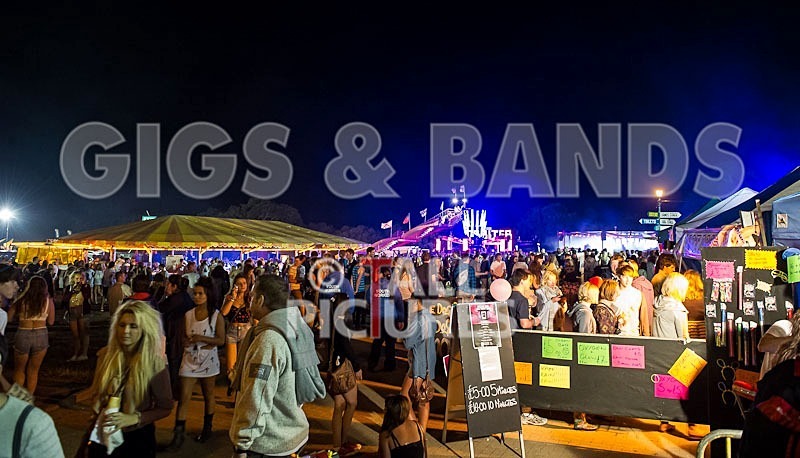 Jersey Live_2012_Good Vibes-17 - THE GOOD VIBES....