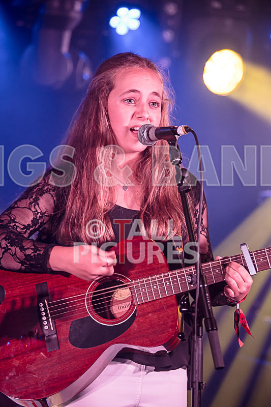 Lady and the Tramps-12 - LADY AND THE TRAMPS