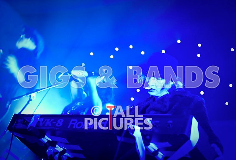 Vale-Earth-72 - VALE EARTH FAIR 2008