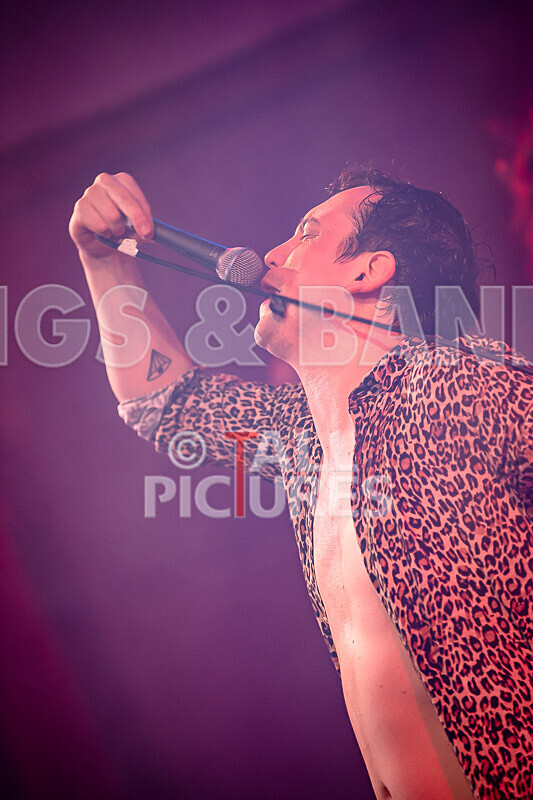 Pigsx7-39 - PIGS PIGS PIGS PIGS PIGS PIGS PIGS