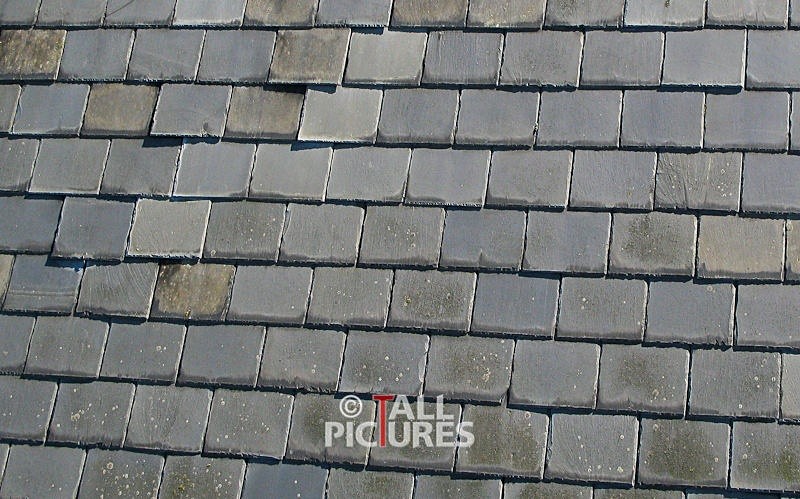 Roof Surveys-4 - SURVEYS