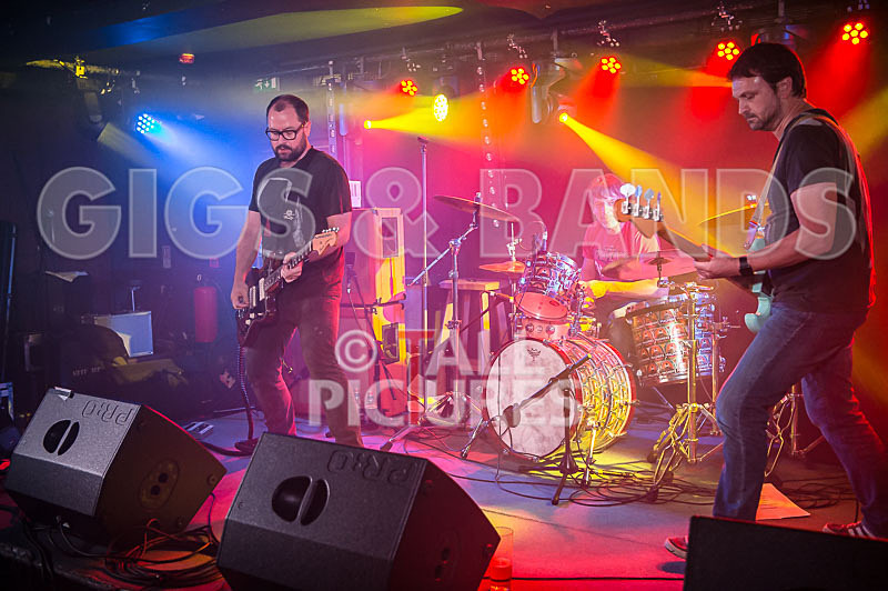 Gay Army-393 - GAY ARMY