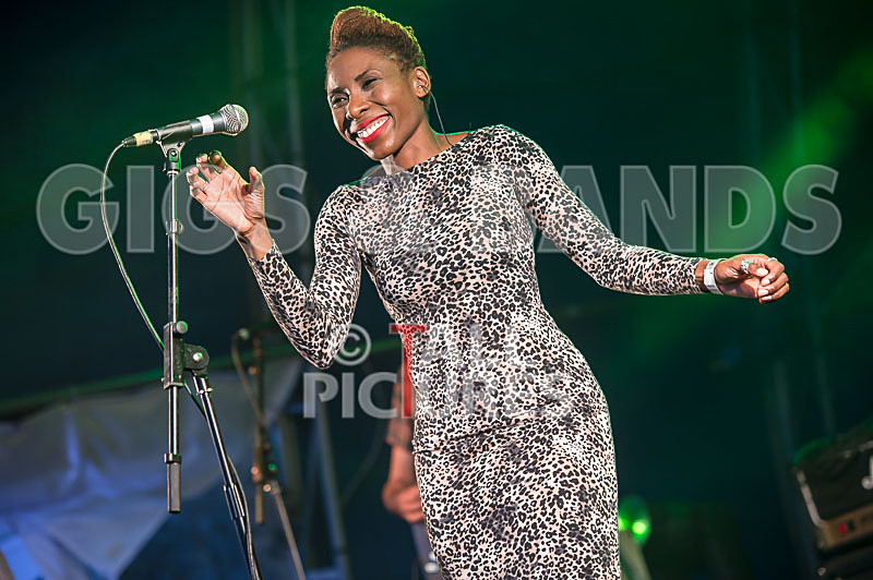 The Delegators-14 - THE DELEGATORS