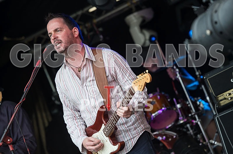 Wild Card-122 - WILD CARD