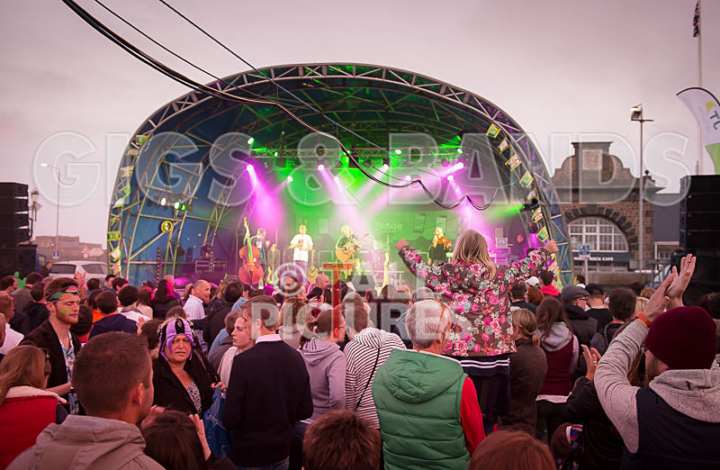 Buffalo Huddleston-210 - BUFFALO HUDDLESTON