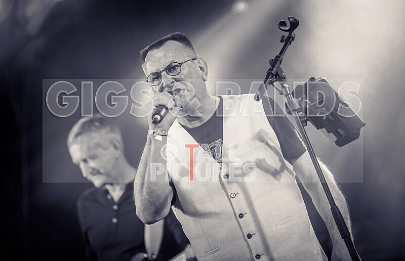 Elysium-322 - ELYSIUM