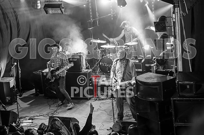 To the Woods-181 - TO THE WOODS