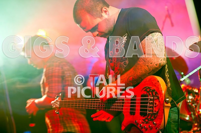 Destria-117 - DESTRIA