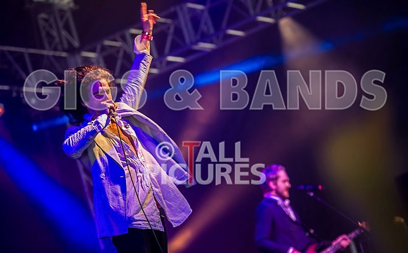 King Charles-4 - KING CHARLES