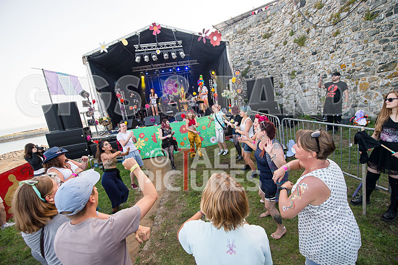 Vale Earth Fair 2017_SCENE-49 - VALE EARTH FAIR 2017_THE SCENE