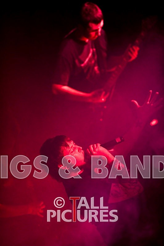 Brutus Stonefist-6 - BRUTUS STONEFIST at RoA-2