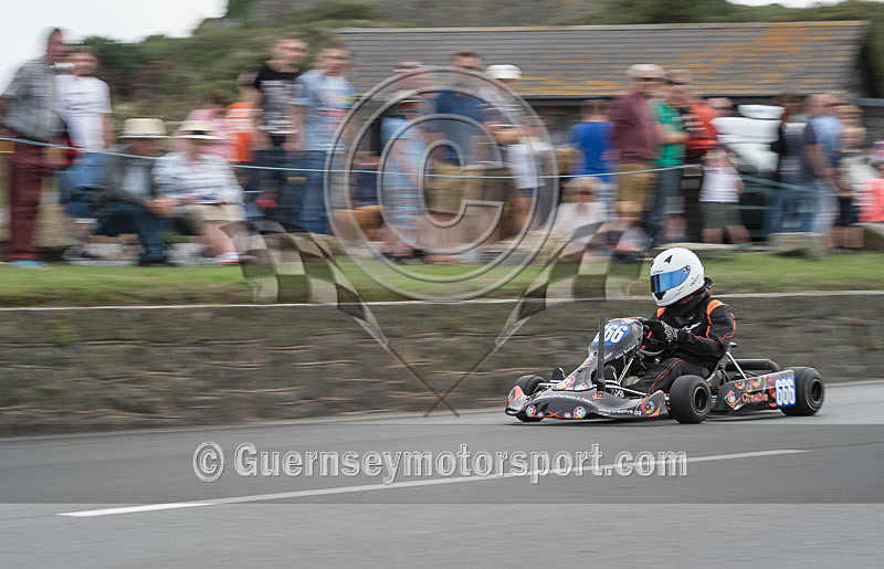 Vale Castle_2015_KART-10 - VALE CASTLE SPRINT 2015 - KARTS