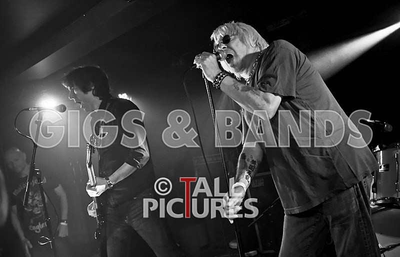 UK Subs-39 - U.K. SUBS