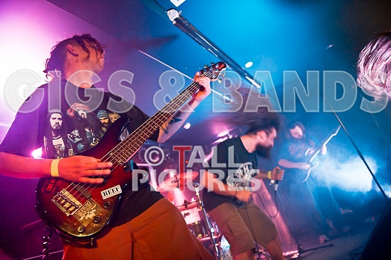 Stan Smith-2 - STAN SMITH