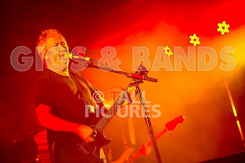 The Buzzcocks-26 - BUZZCOCKS