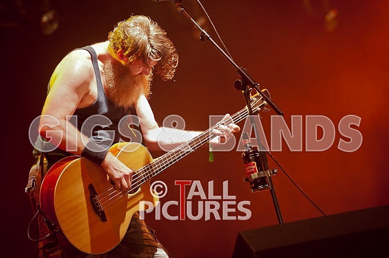 Hayseed Dixie-28 - HAYSEED DIXIE