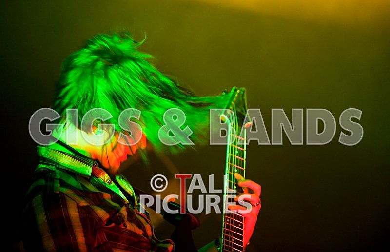 Elmer Henley-23 - ELMER HENLEY at RoA-2