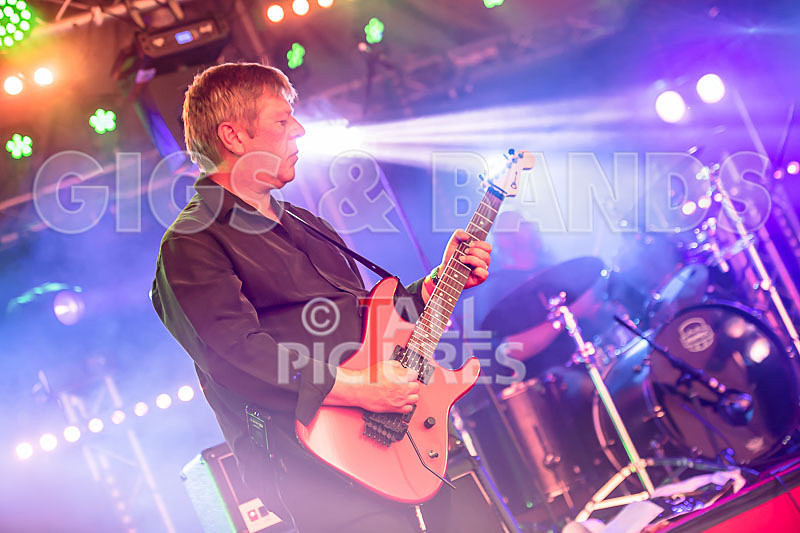 Frail Sincerity-22 - FRAIL SINCERITY