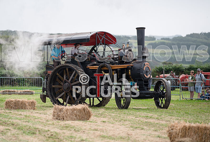 Guernsey Agricultural Show 2021-8 - GUERNSEY AGRICULTURAL SHOW 2021