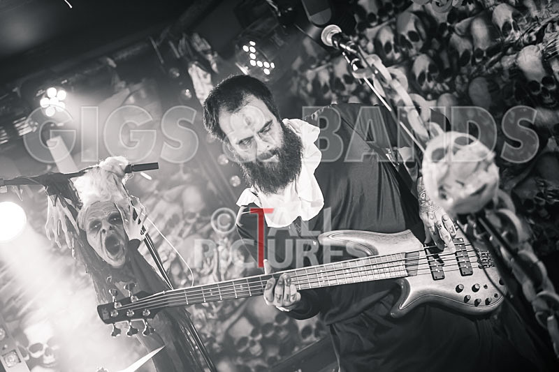 Static Alice-703 - STATIC ALICE