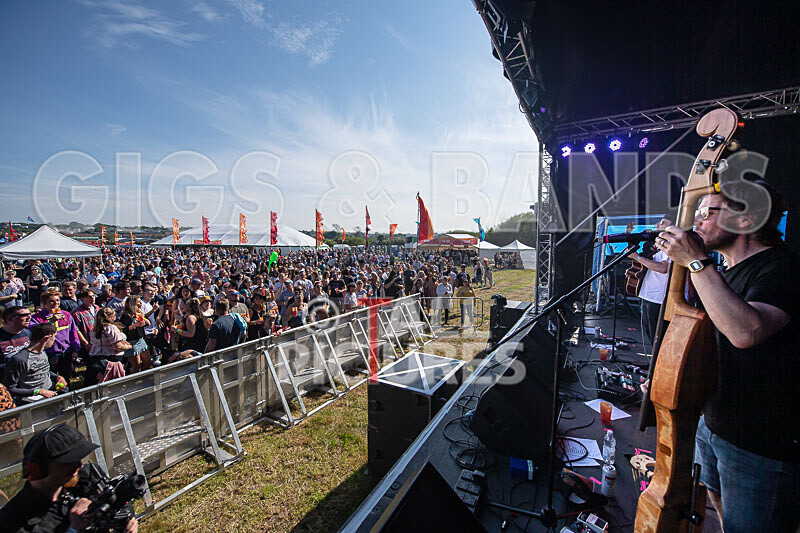 Buffalo Huddleston-705 - BUFFALO HUDDLESTON