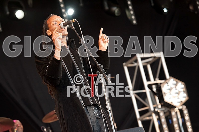 The Beat-29 - THE BEAT