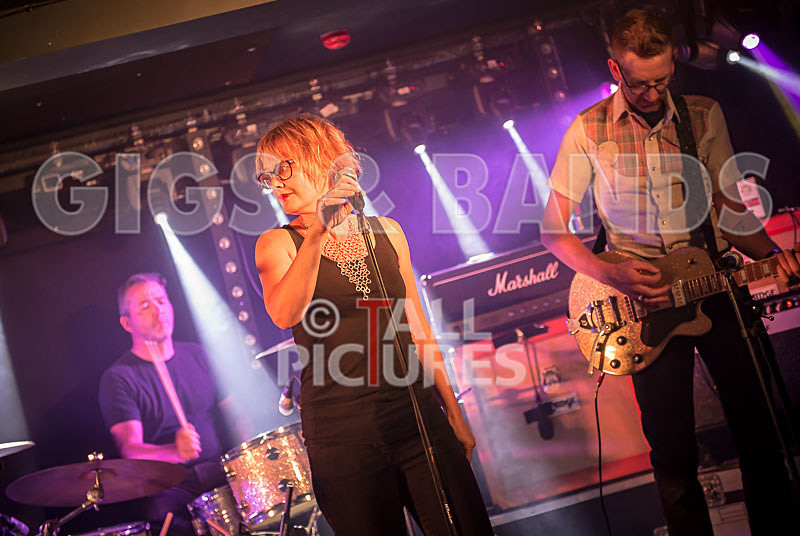 Ray and the Guns-76 - RAY AND THE GUNS