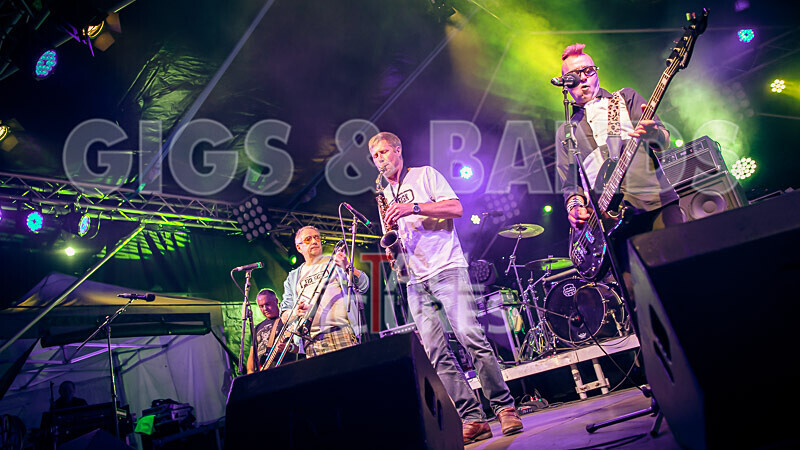 The Risk-460 - THE RISK