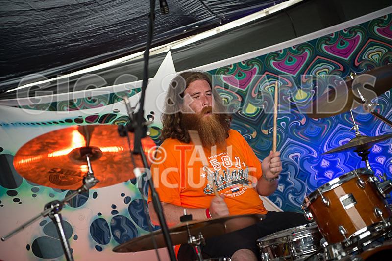 Honest Crooks-35 - HONEST CROOKS