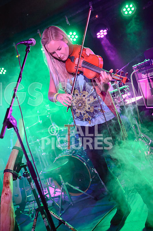 Buffalo Huddleston-485 - BUFFALO HUDDLESTON