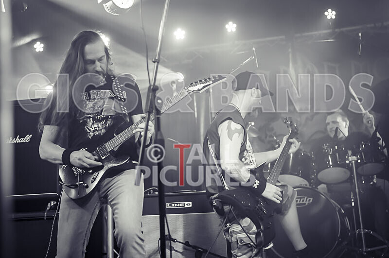 Maiden Guernsey-241 - MAIDEN GUERNSEY