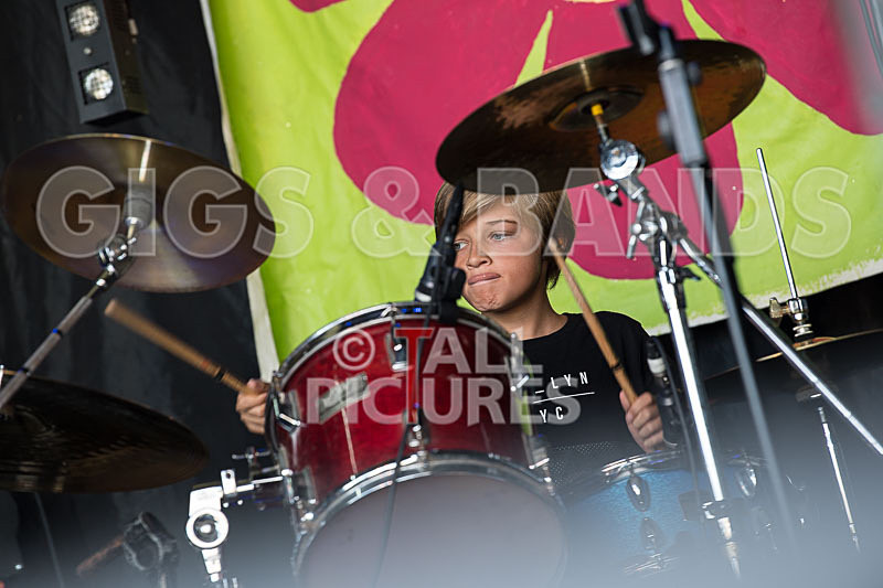 SoPM Vale Earth Fair-17 - SoPM on the VIEWALALU STAGE