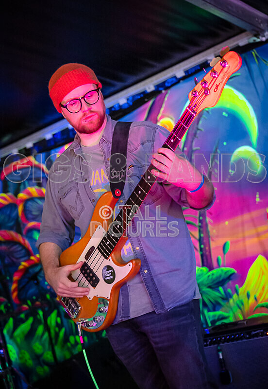 Kiya Ashton and the Folkadelics-14 - KIYA ASHTON AND THE FOLKADELICS