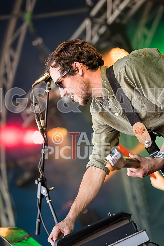 Tree House Fire-34 - TREE HOUSE FIRE