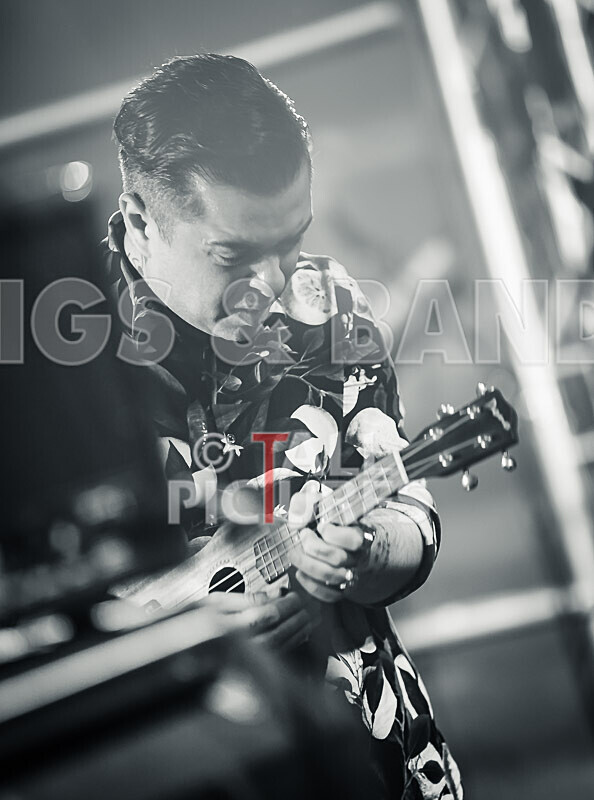 The King Blues-60 - THE KING BLUES