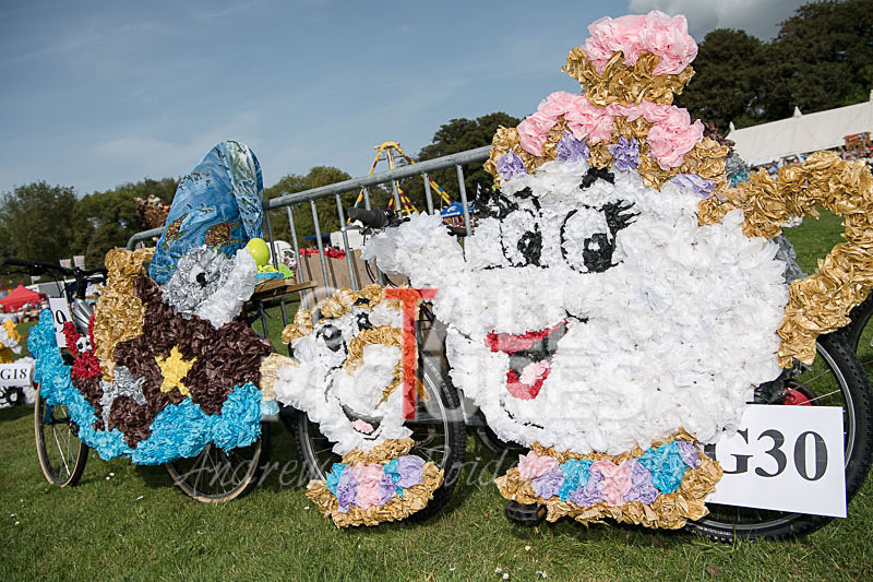 North Show 2017-11 - NORTH SHOW 2017