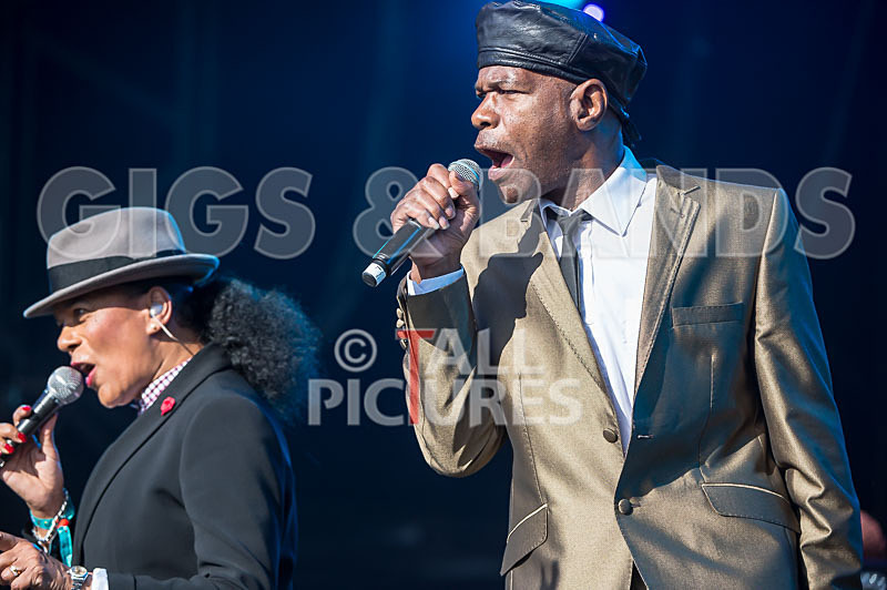 The Selecter-64 - THE SELECTER