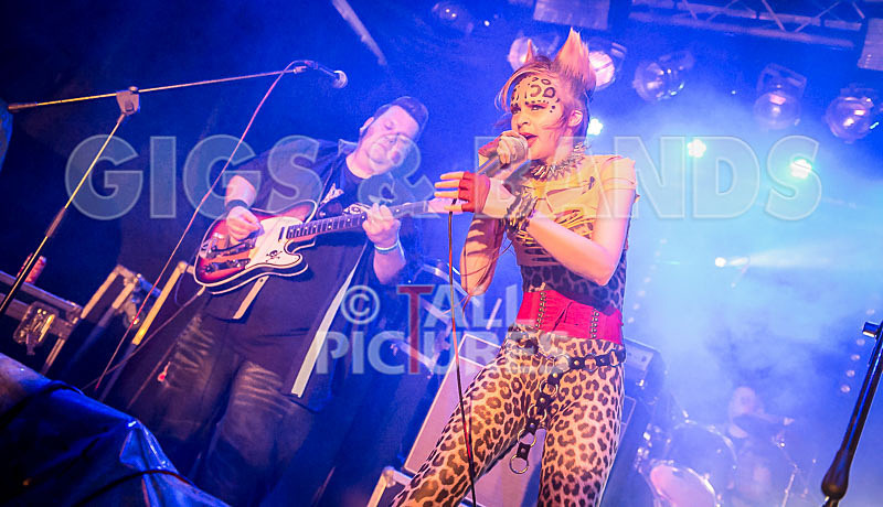 Pussycat and the Dirty Johnsons-34 - PUSSYCAT AND THE DIRTY JOHNSONS