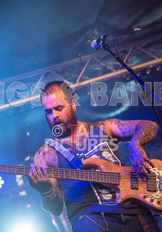 Static Alice-387 - STATIC ALICE