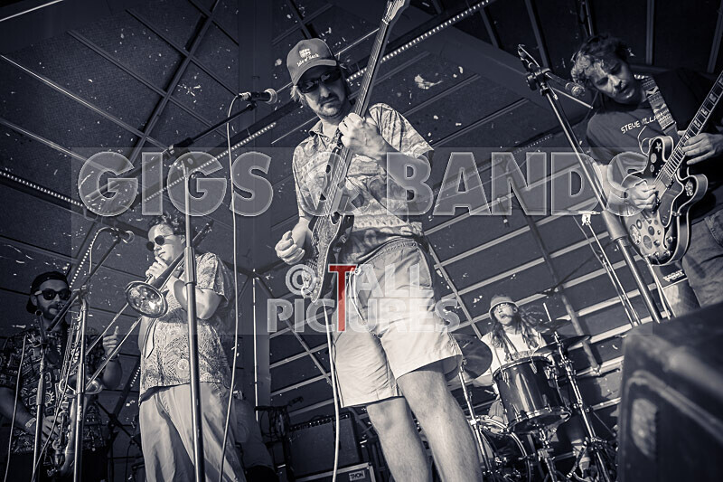 Pam Bindi-5 - PAM BINDI