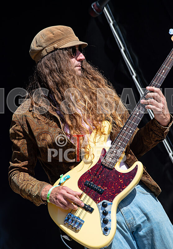 Eloise Fabbri  the Big Bad Beauty Band-66 - ELOISE FABBRI & THE BIG BAD BEAUTY BAND