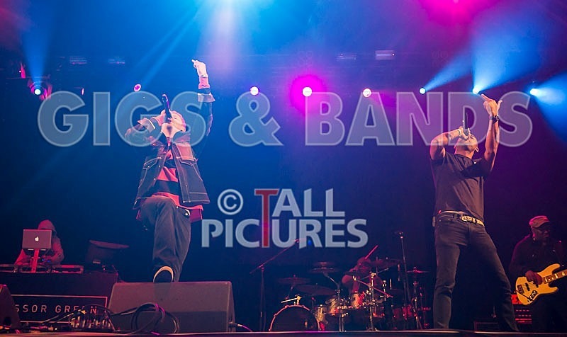 Professor Green-51 - PROFESSOR GREEN