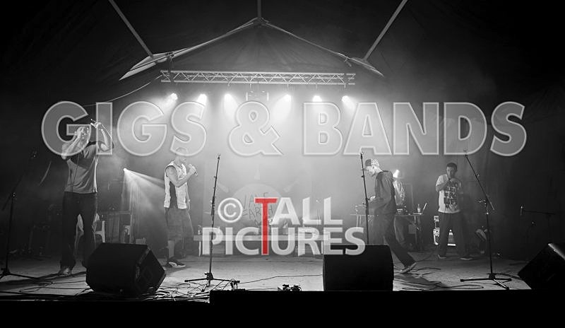 Asylum Seekas-1 - ASYLUM SEEKAS AT IVY CASTLE