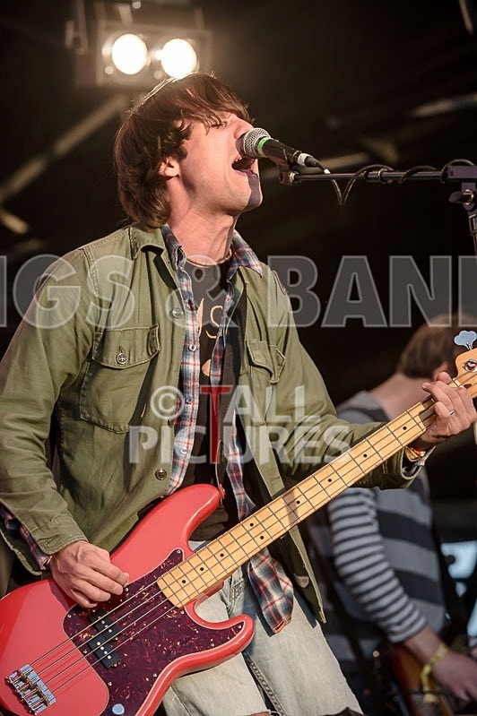 The Cribs-9 - THE CRIBS