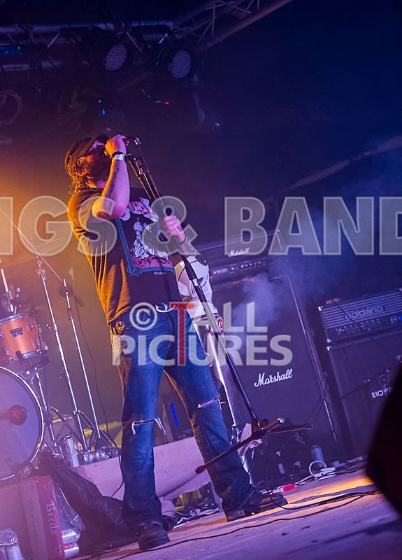 Viking Skull-41 - VIKING SKULL