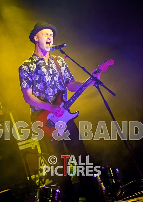 Peppered Ant Legs-30 - PEPPERED ANT LEGS at RoA-3