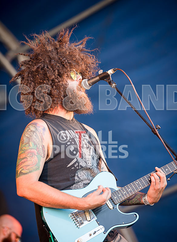 Tree House Fire-39 - TREE HOUSE FIRE