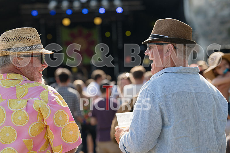 Vale Earth Fair 2017_PRESS EDIT-16 - VALE EARTH FAIR 2017_THE PRESS EDIT